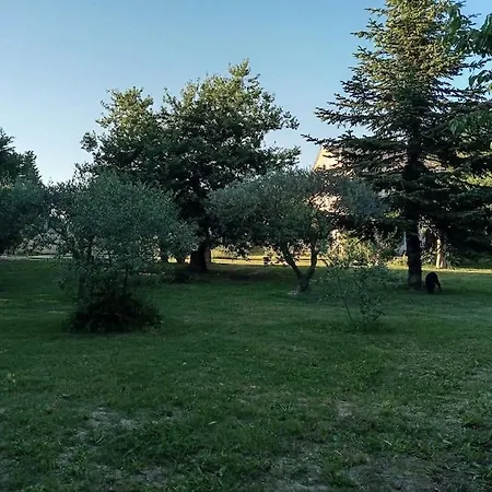 Avec Piscine Dans Un Avre De Verdure Σπίτι διακοπών Caderousse