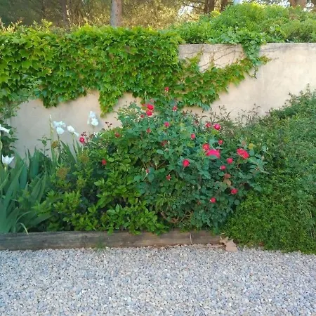 Avec Piscine Dans Un Avre De Verdure Caderousse